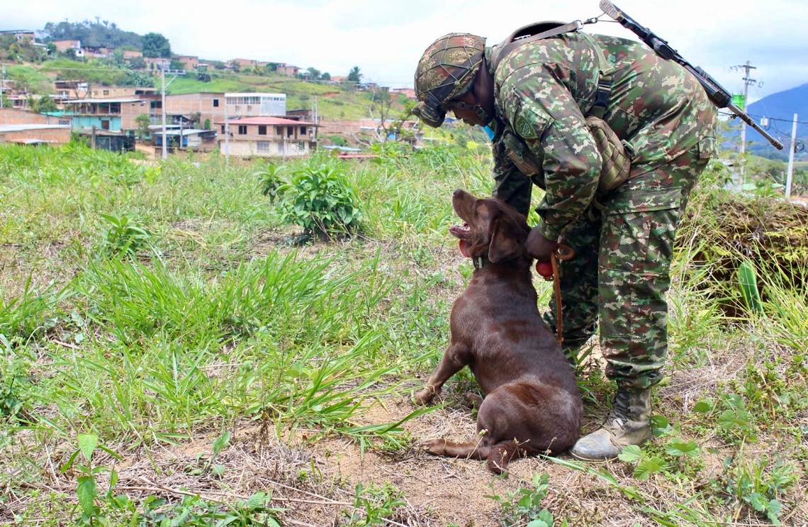 La comunidad de El Plateado, Cauca, vuelve a estar conectada y con menos riesgos por la presencia de artefactos explosivos con la Operación ‘Perseo’