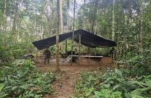 Ejército Nacional continúa afectando la cadena del narcotráfico en el departamento del Guaviare
