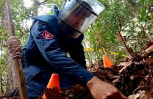 Batallón de Ingenieros de Desminado Humanitario N.°5 entregan camino seguro a comunidad de Baraya, Huila