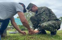 Ejército Nacional siembra más de 300 árboles en la vereda Monte Cristo de Guamal, Meta