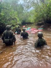 En un árbol de ceiba en la selva del Chocó, Fuerzas Militares incautan más de una tonelada de clorhidrato de cocaína