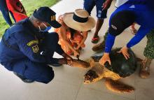 Armada de Colombia refuerza su rol en la protección de mares y ríos en la COP16