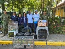 181 animales silvestres fueron liberados por la Armada de Colombia