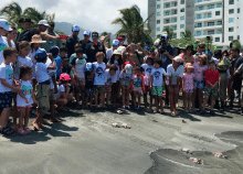 cogfm-arc-liberacion-especies-marina-santa-marta-30.gif