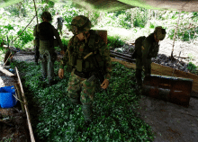 cogfm-ejc-operaciones-contra-narcotrafico-choco-17.gif