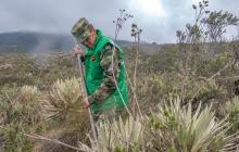 cogfm-ejercito-dia-mundial-del-medio-ambiente-paramo-de-sumapaz-06.jpg