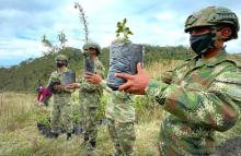 cogfm-ejercito-nacional-protecion-al-medio-ambiente-en-el-paramo-de-guerrero-cundinamarca-31.jpg