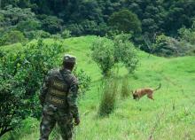 cogfm-ejercito-neutralizacion-terrorista-gao-eln-antioquia-16.jpg