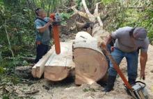 cogfm-ftcomega-capturas-flagrancia-aprovechamiento-ilicito-medio-ambiente-14.jpg