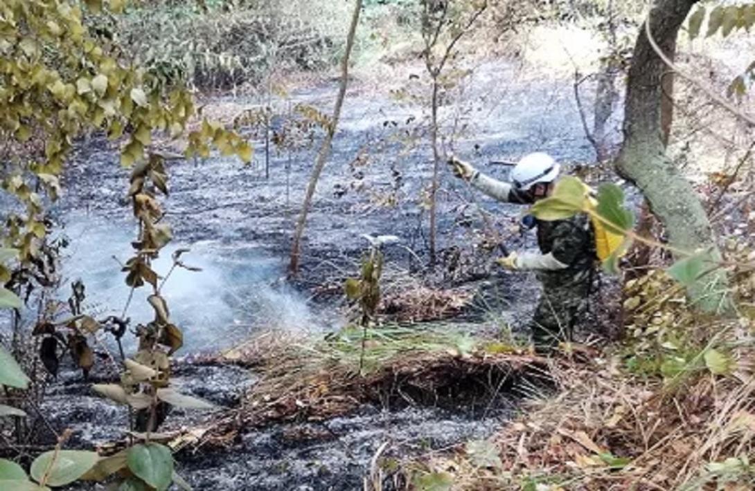 Ejército Nacional controla incendio forestal en Suárez, Tolima