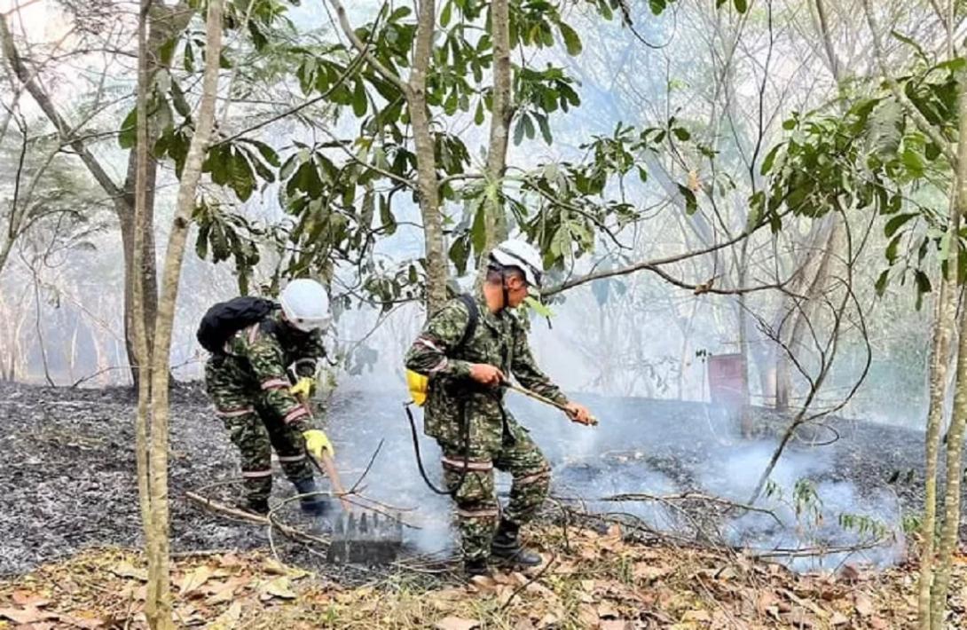 Controlado incendio forestal en San Luis, departamento del Tolima, por el Ejército Nacional