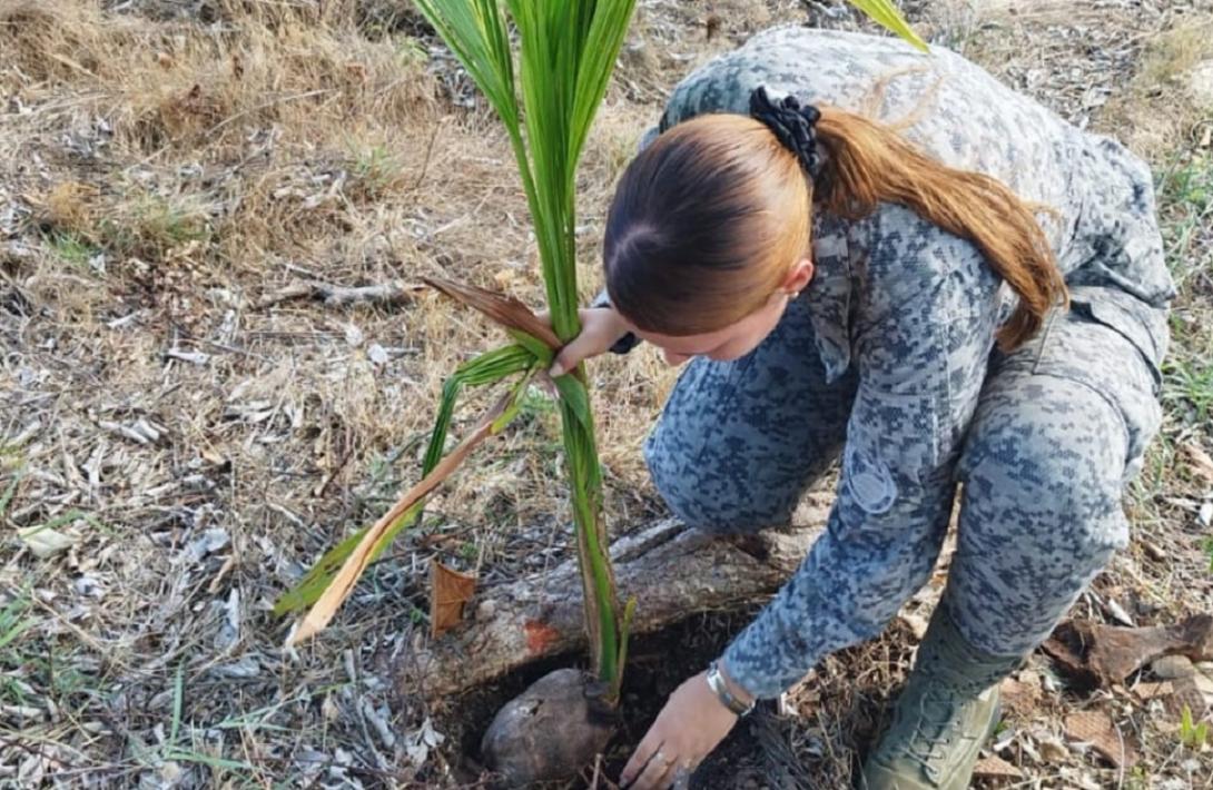 Proyecto de plantación de árboles nativos en San Andrés