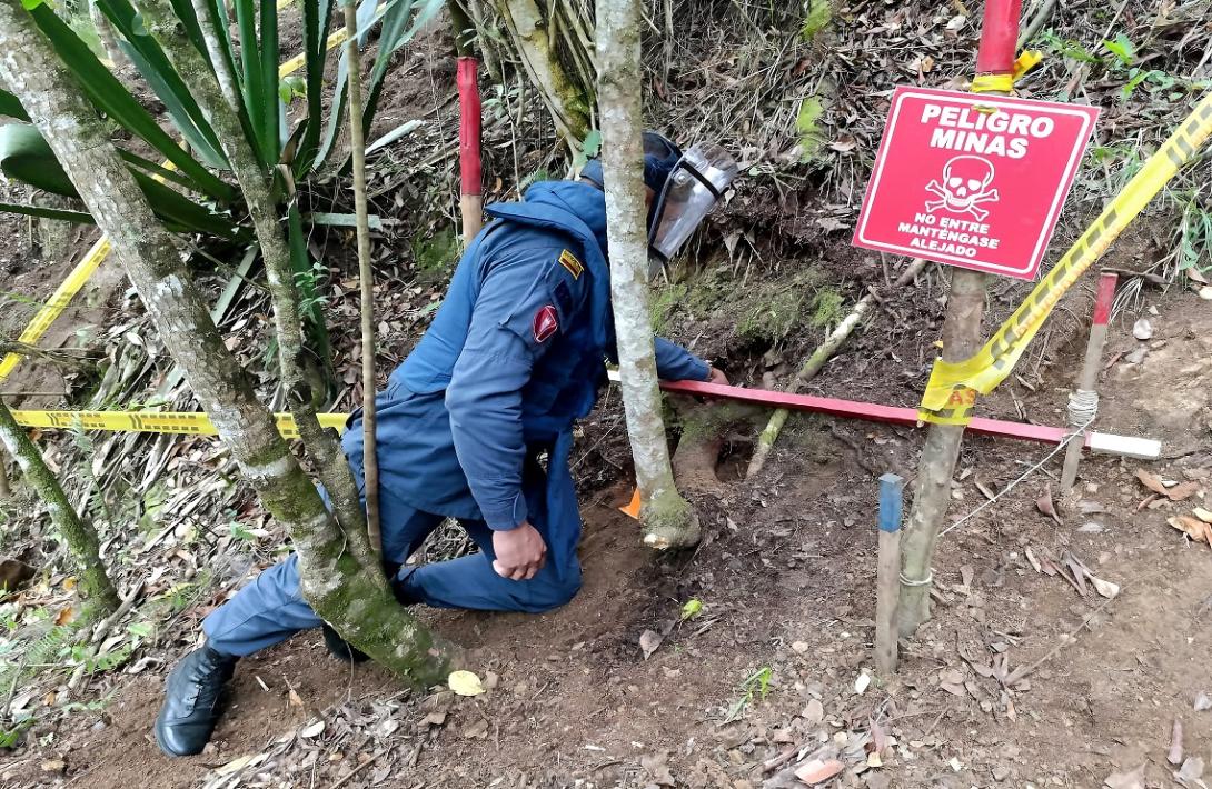 En seis meses, desminadores han despejado 60.015 metros cuadrados del Valle del Cauca
