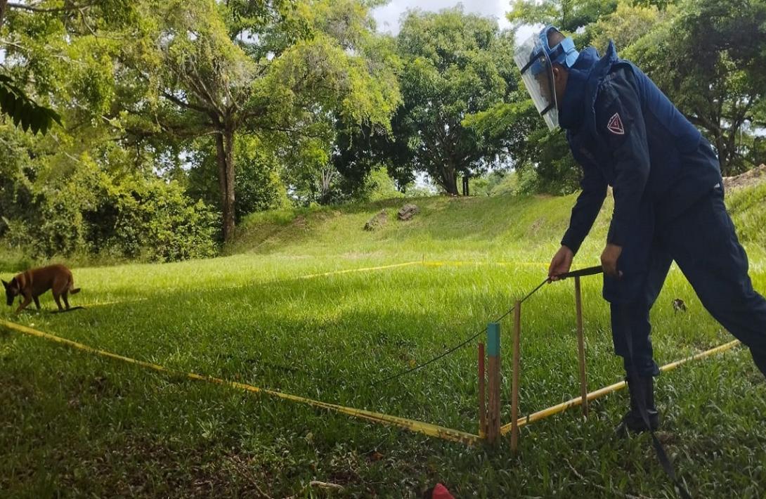 Desminado humanitario en Santander ya tiene 95,4 % del departamento libre de sospecha de minas antipersonal