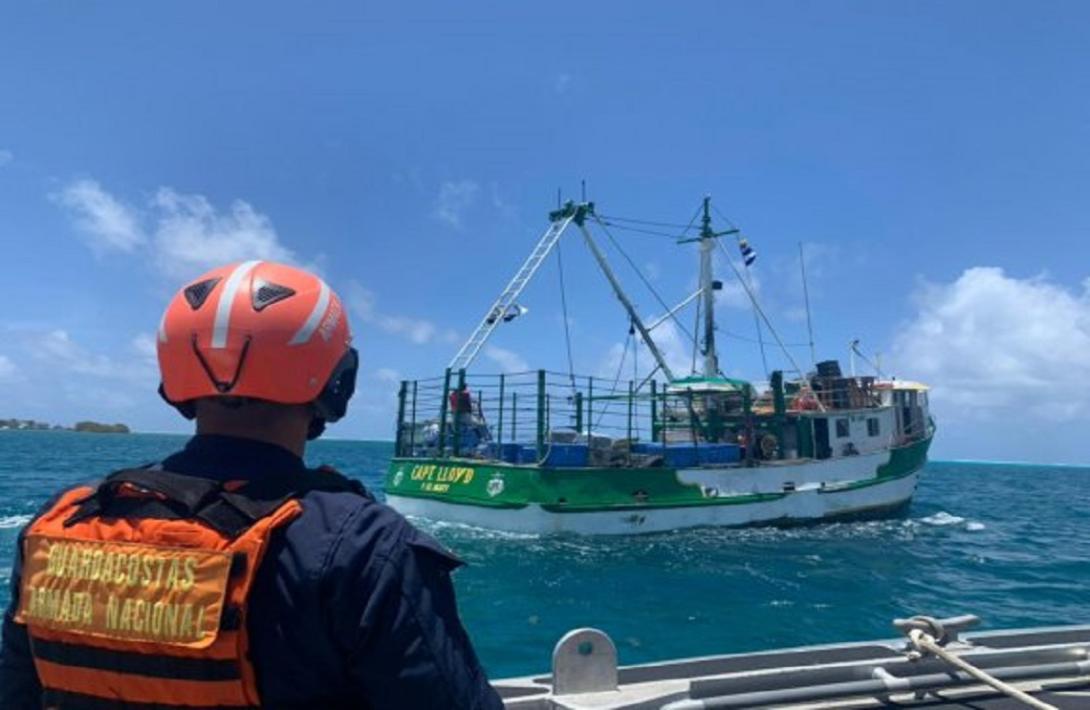 Colombian Navy finds 138 kilograms of Hawksbill turtle, an animal in ...