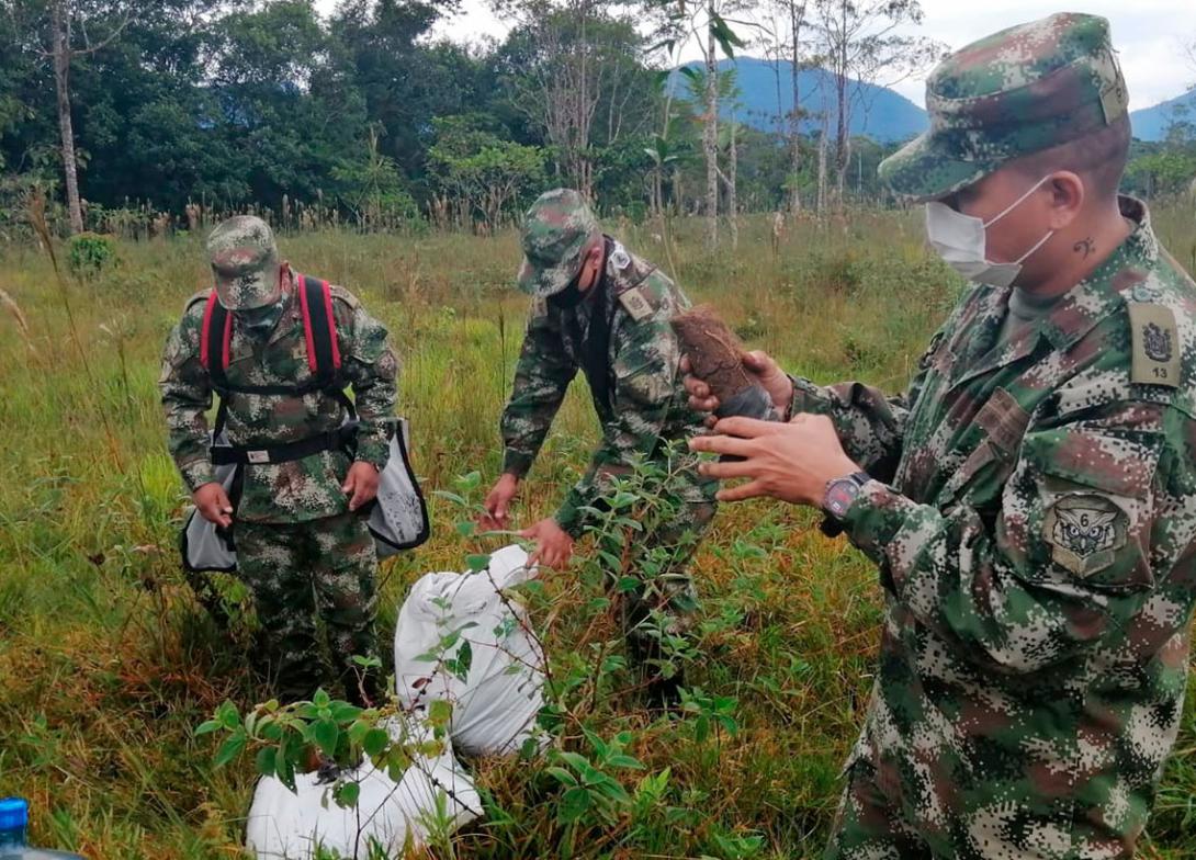 cogfm-ejercito-artemisa-reforestacion-putumayo-12.jpg