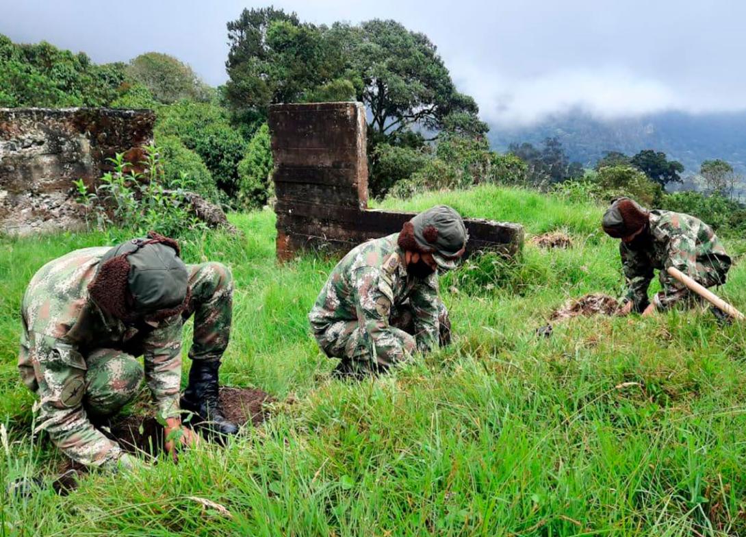 cogfm-ejercito-brigada13-operacion-artemisa-siembra-1200-arboles-cundinamarca-03.jpg