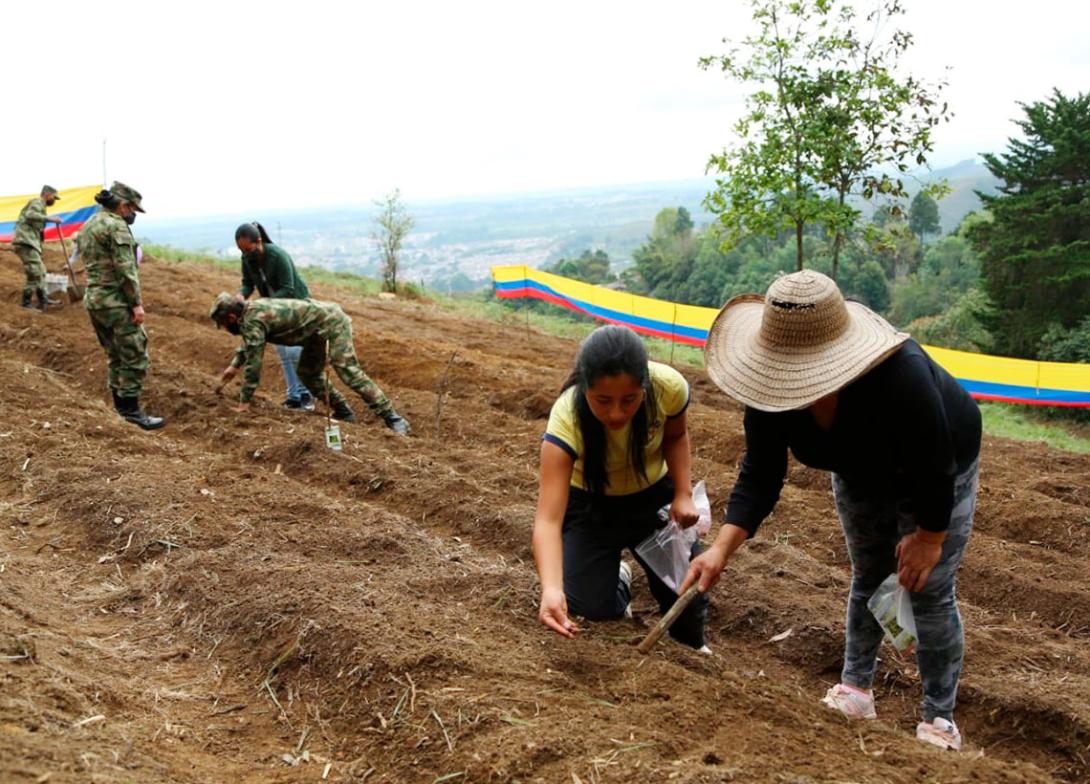 cogfm-ejercito-proyectos-productivos-popayan-huertas-comunitarias-18.jpg