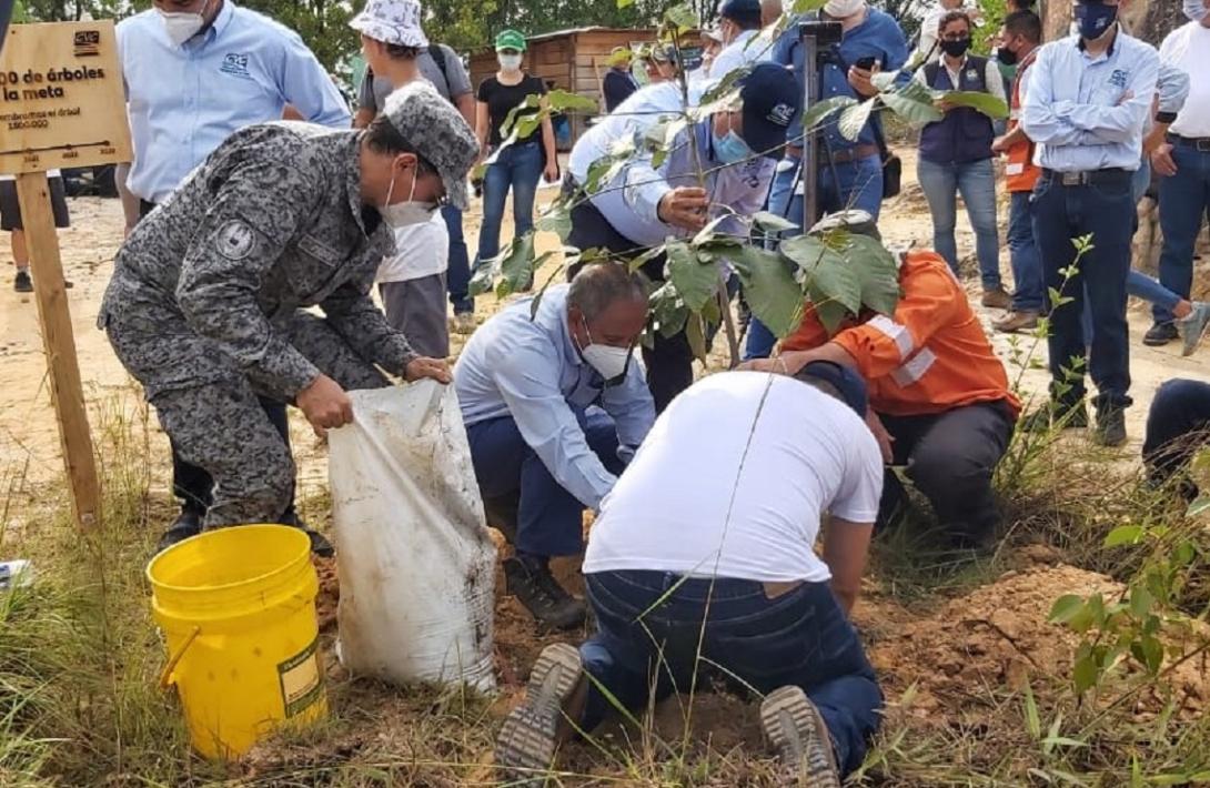 cogfm-fuerza-aerea-un-guayacan-se-convierte-en-el-arbol-distintivo-del-programa-valle-mas-verde-06.jpg