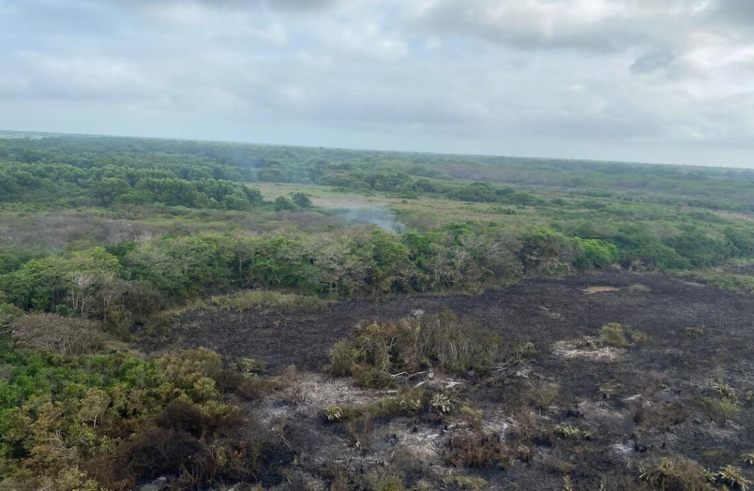 cogfm.fuerza-aerea-colombiana-extincion-de_incendio-isla-de-salamanca.jpeg