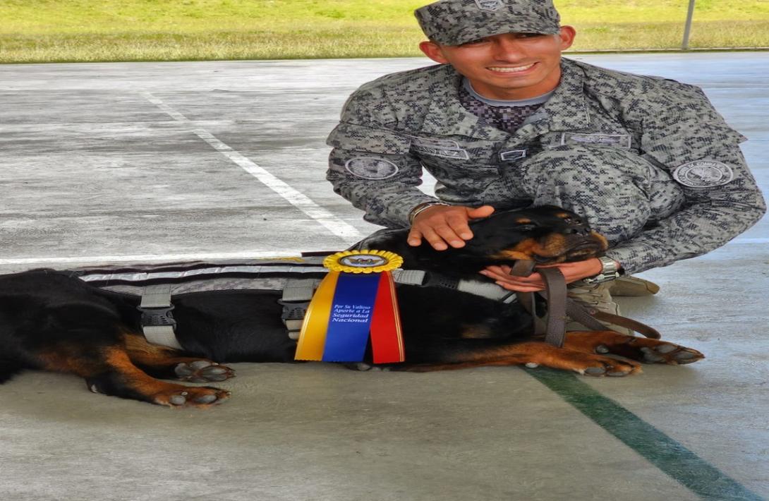 se-despide-con-honores-una-canino-militar-de-la-fuerza-aerea-colombiano.jpg